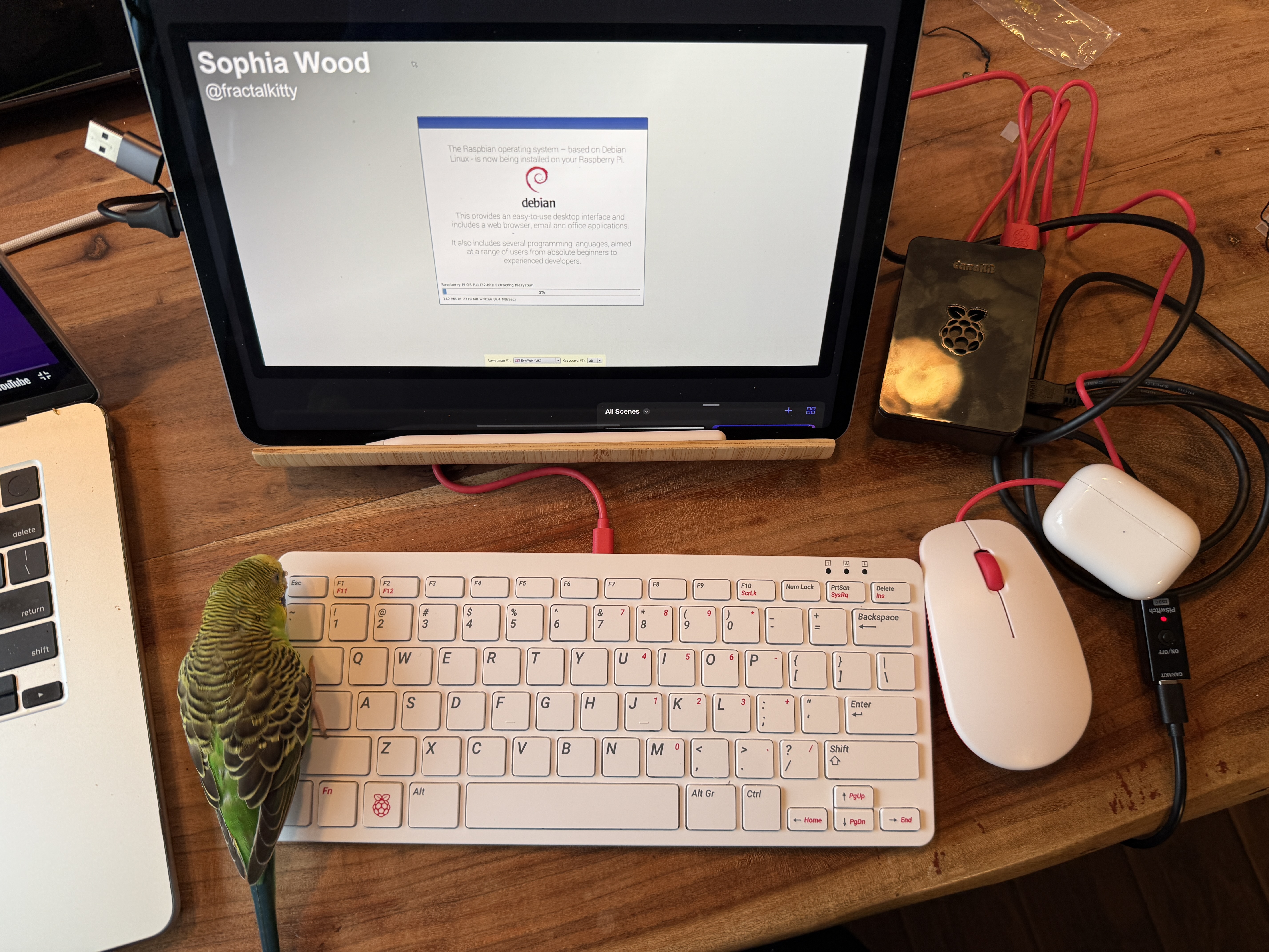 pi setup with ipad as display with keyboard and mouse and budgie on the keyboard